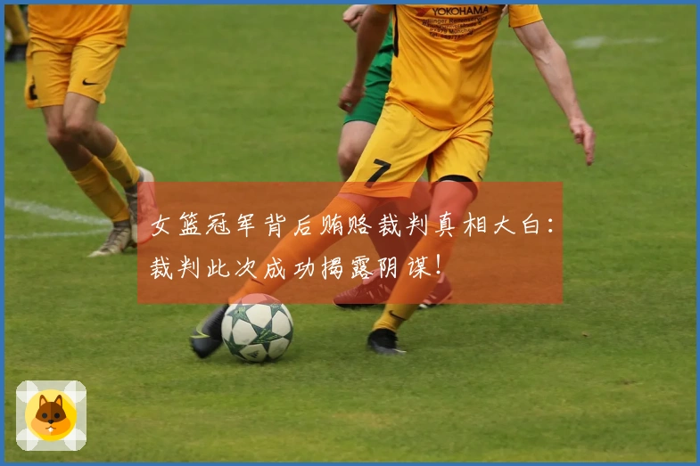 女篮冠军背后贿赂裁判真相大白：裁判此次成功揭露阴谋！